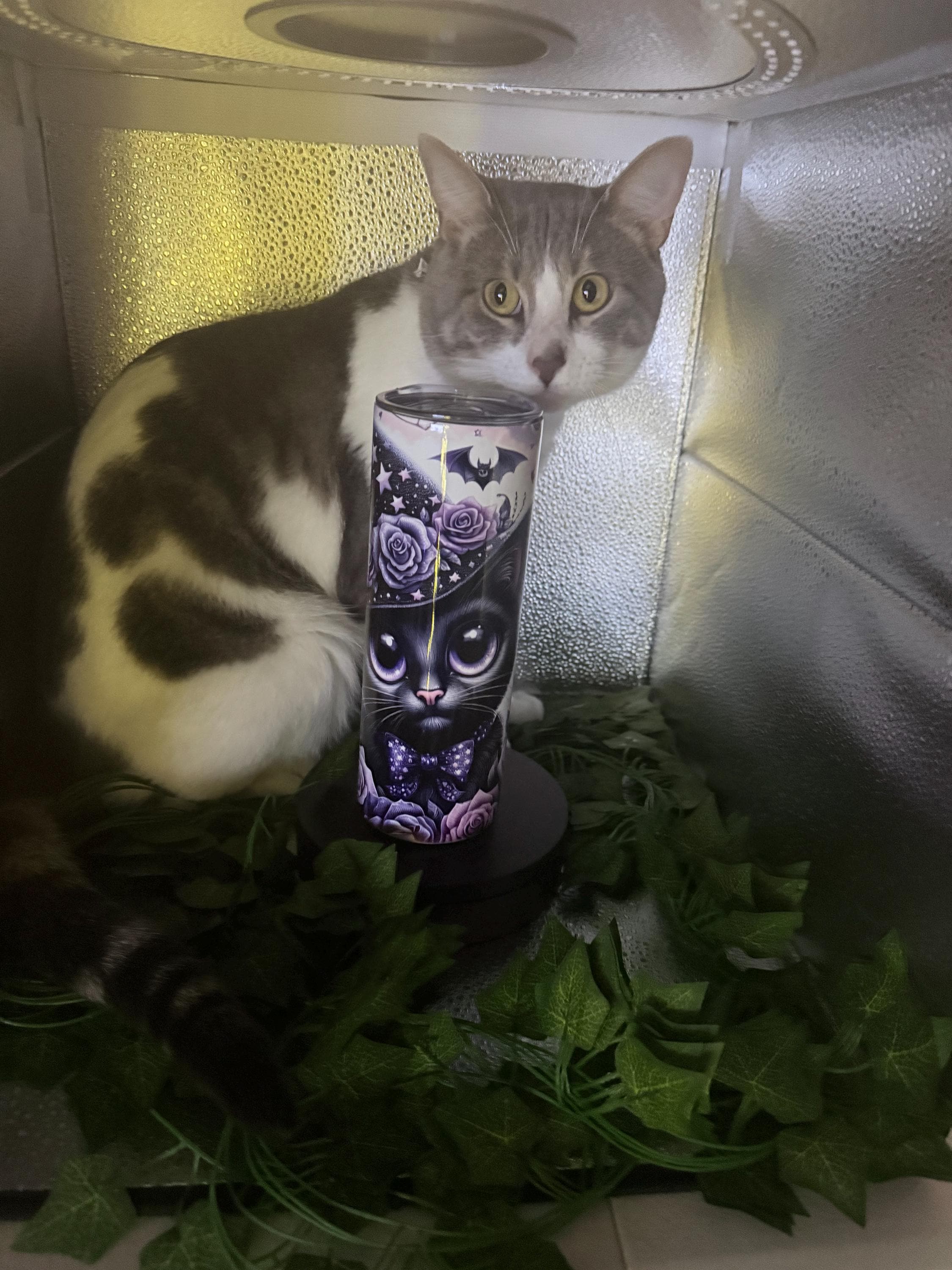 Gothic Cat Tumbler: Witchy Purple Roses, Bats & Stars - 20oz Stainless Steel